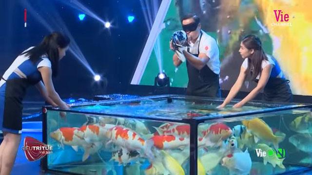 Hé lộ tài sản siêu khủng vua cá Koi sở hữu khi cưới Hà Thanh Xuân-7