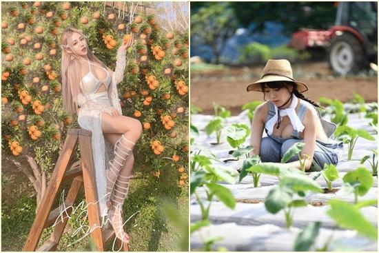 Mặc thoáng mát đi hái cam, trồng rau, nhiều người đẹp bị chê 'lạc quẻ'