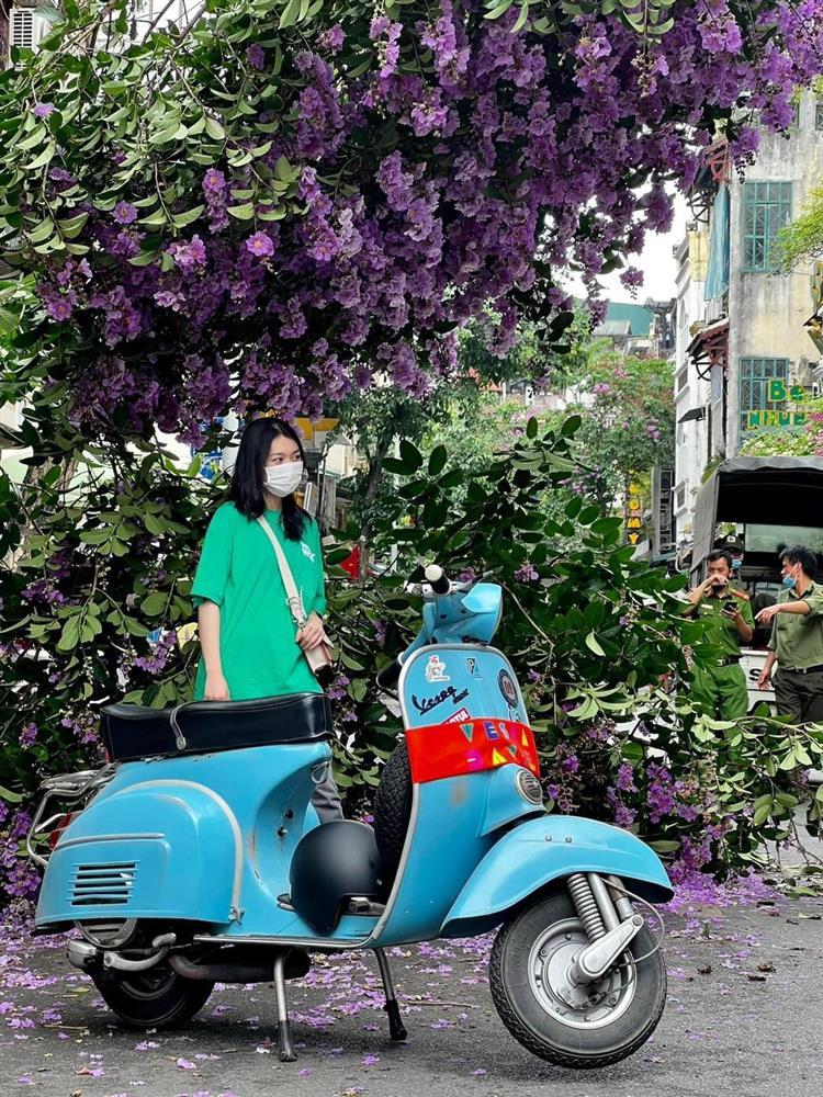 Bằng lăng tím gãy giữa phố cổ, dân tình ồ ạt đến check-in-3