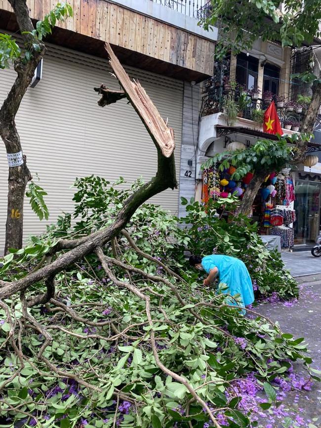 Bằng lăng tím gãy giữa phố cổ, dân tình ồ ạt đến check-in-6