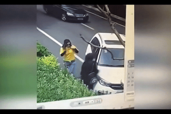 Clip: Cháu ném đá vào người đi đường, ông bảo sao phải xin lỗi-2