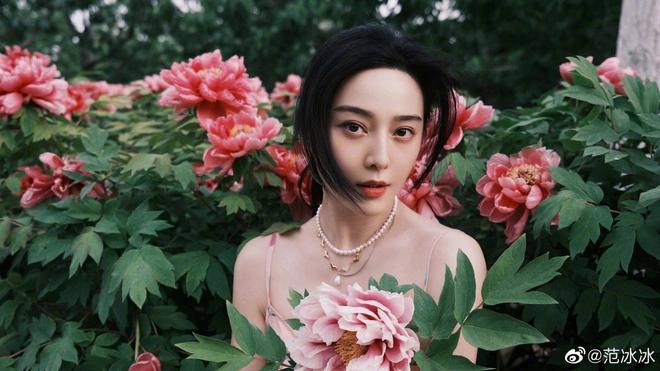 Phạm Băng Băng bám trụ showbiz để kiếm tiền nuôi gia đình-1