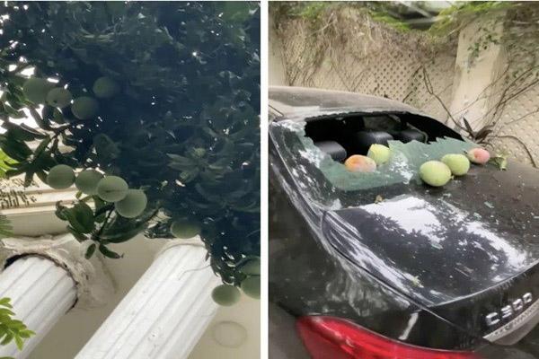 Ăn măng cụt rất ngon nhưng có 5 điều cần tránh kẻo hại thân-3