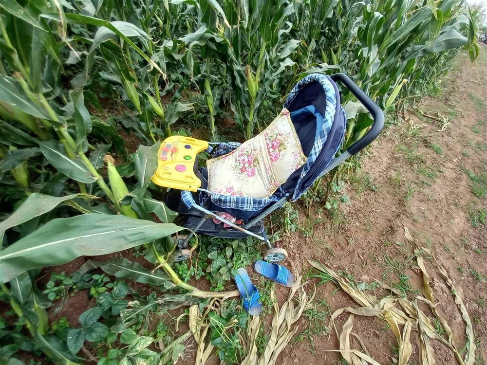 Cô giáo ôm 2 con nhảy sông: Ám ảnh bé 9 tháng dính chặt lưng mẹ-4