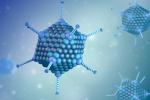 Sự thật về virus bị nghi đứng sau bệnh viêm gan bí ẩn-3