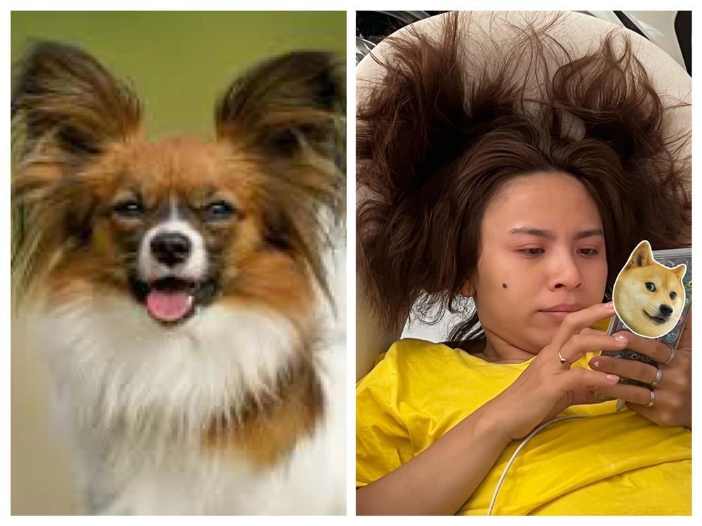 Nữ diễn viên Vbiz đứng vẫn không cao bằng Kỳ Duyên ngồi-4