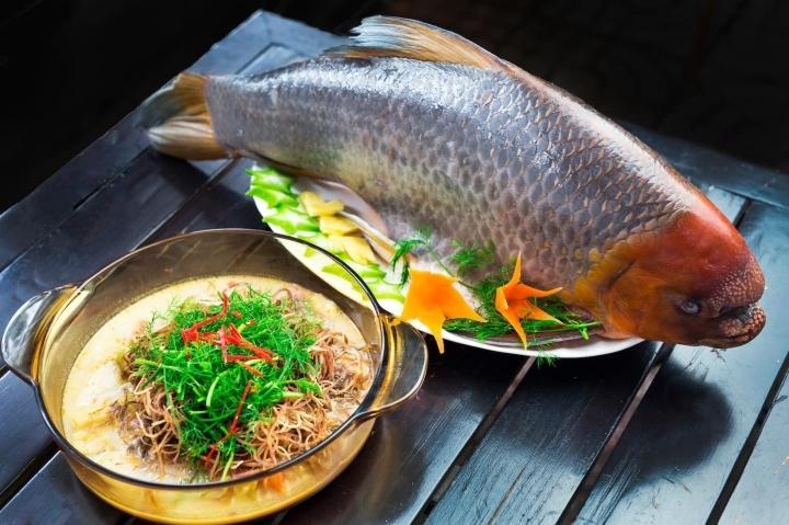 Giới sành ăn chi tiền triệu để nếm thử Văn Lang đệ nhất ngư-2