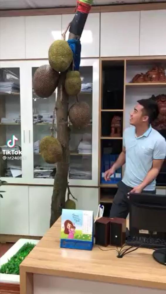 Cây mít mọc ngang ngược nhưng cực sai quả, lúc bổ ra mới bất ngờ-1