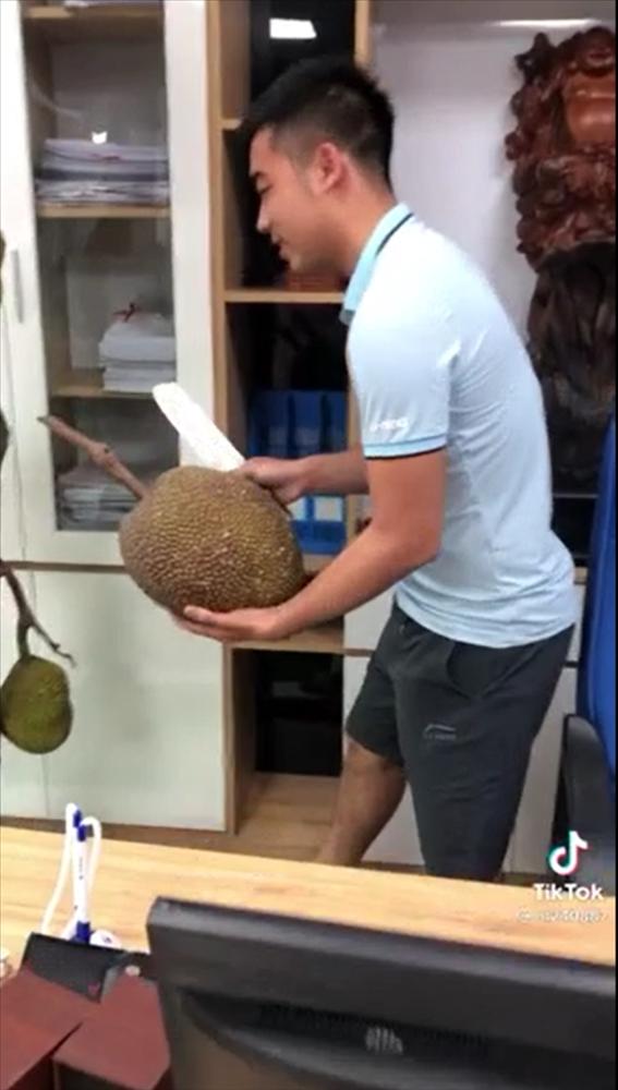 Cây mít mọc ngang ngược nhưng cực sai quả, lúc bổ ra mới bất ngờ-4