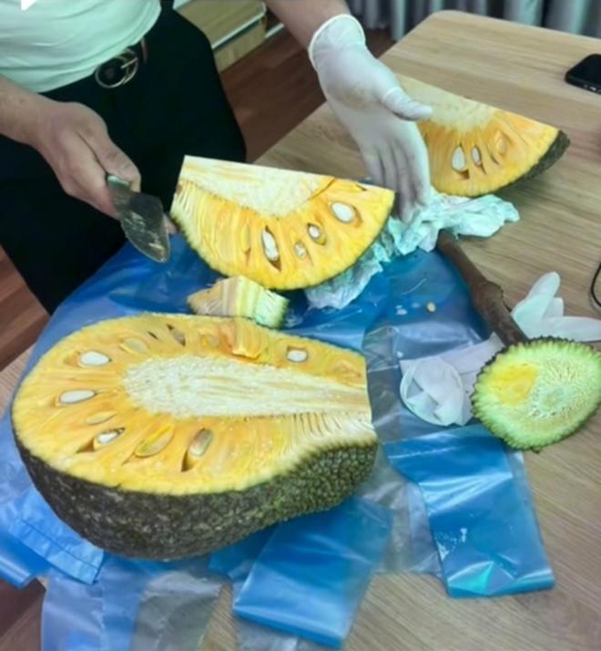 The jackfruit tree grows unruly but the fruit is very wrong, it's unexpected when it's cut out -6