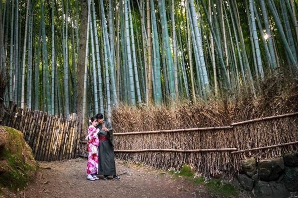 Khu rừng đẹp bậc nhất thế giới, máy ảnh không thể tả hết-3