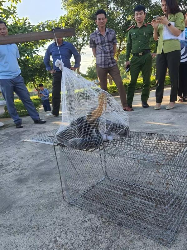 Rắn hổ mang chúa dài 3 mét chui vào trường học-1