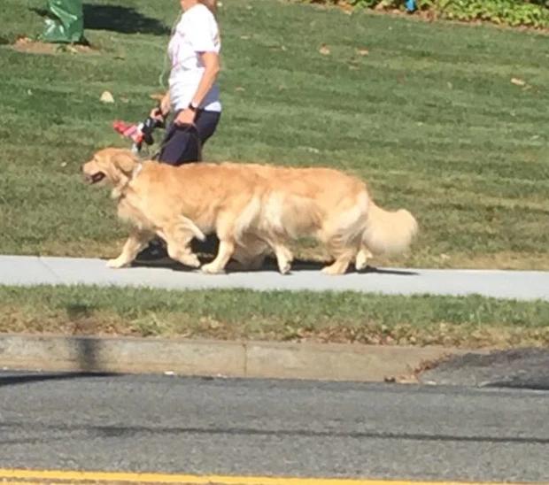 Loạt ảnh với góc nhìn gây lú lẫn, người xem muốn quẫn trí luôn-2