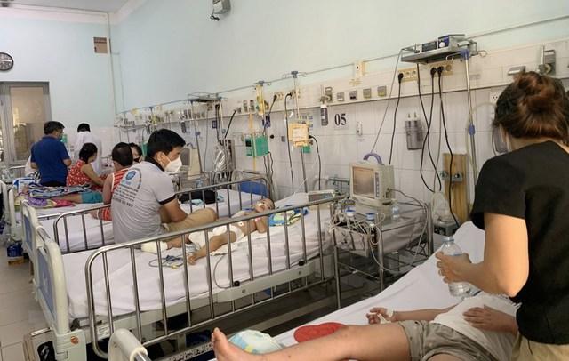 Ho Chi Minh City has 6 deaths, 158 severe cases due to dengue fever-1