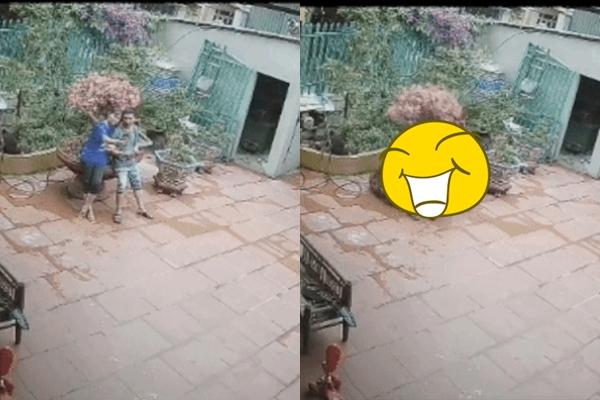 Loại cây lạ của Trung Quốc hút khách, có cây giá hơn 100 triệu-3