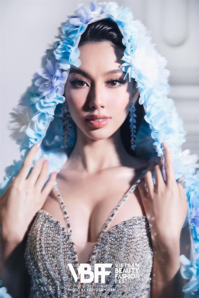 Touching Ha Anh, transgender beauty Do Nhat Ha was criticized like a ham-5