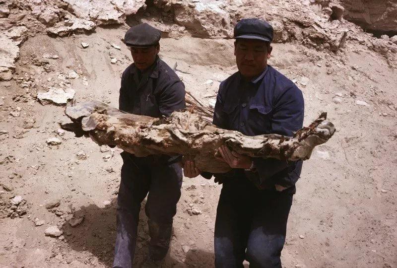 Những chuyện khó tin ở Lop Nur - tam giác quỷ lục địa châu Á-3