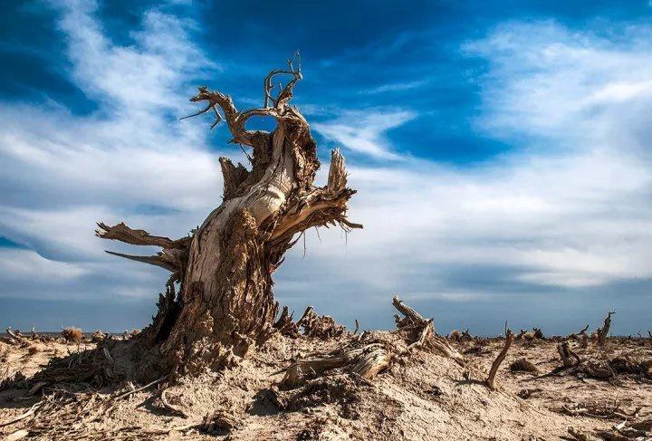 Những chuyện khó tin ở Lop Nur - tam giác quỷ lục địa châu Á-5