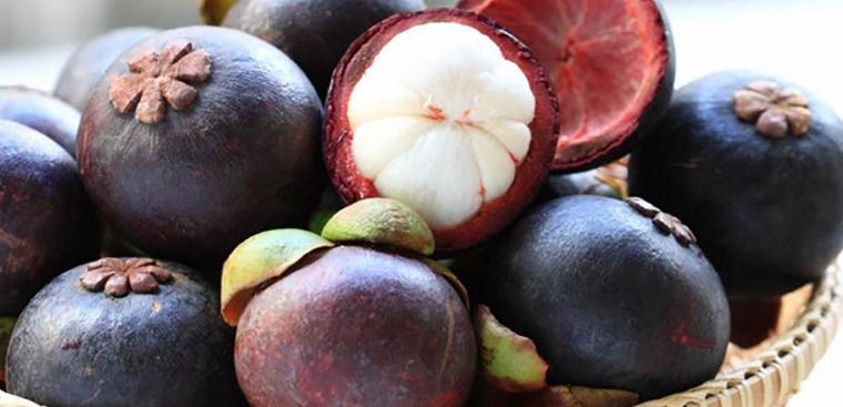 Ăn măng cụt rất ngon nhưng có 5 điều cần tránh kẻo hại thân-1