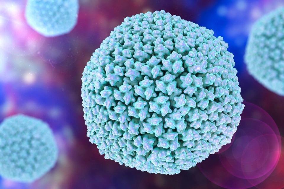Sự thật về virus bị nghi đứng sau bệnh viêm gan bí ẩn-1