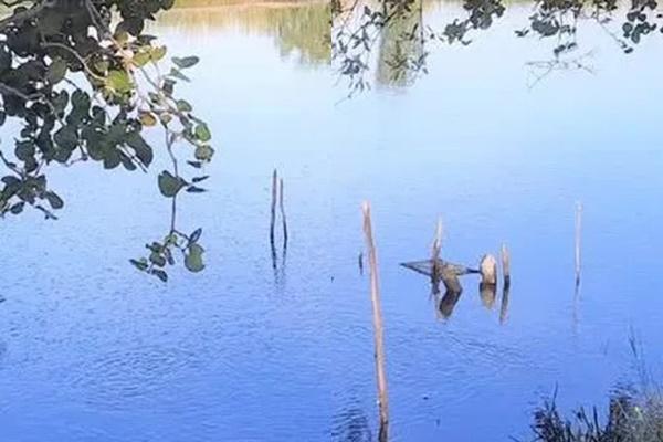 Điểm mặt lãnh đạo CDC vướng lao lý do liên quan Việt Á-14