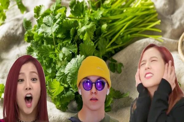 4 loại rau đại bổ quý như nhân sâm, bán đầy chợ ai cũng mua được-5