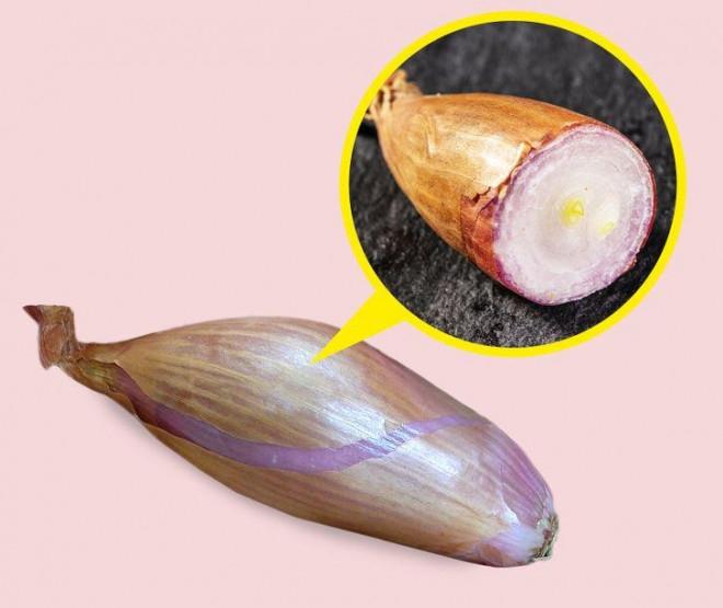 7 loại hành khác nhau nhưng rất ít người biết cách dùng từng loại-5