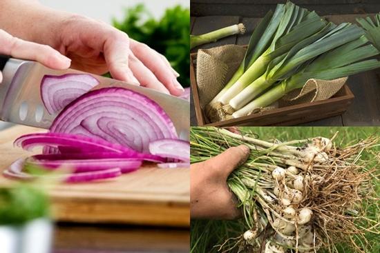 7 loại hành khác nhau nhưng rất ít người biết cách dùng từng loại