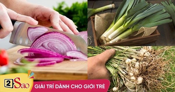 7 different types of onions but very few people know how to use each type