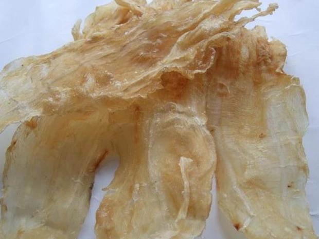 Loài cá được cả thế giới săn đón vì sở hữu bộ phận quý hơn vàng-4