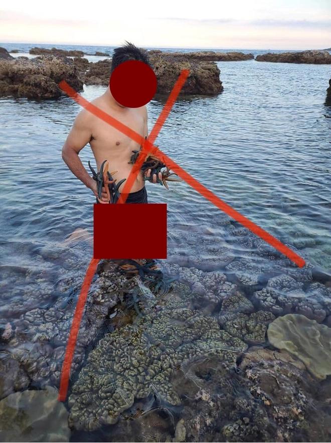 Người đàn ông nằm lên rạn san hô, vớt sao biển chụp ảnh sống ảo-3