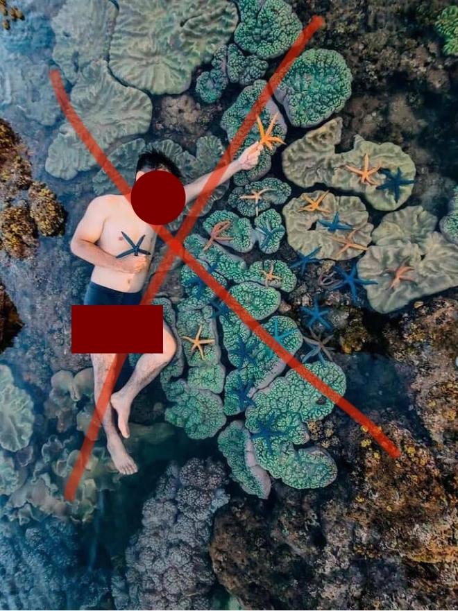 Người đàn ông nằm lên rạn san hô, vớt sao biển chụp ảnh sống ảo-4
