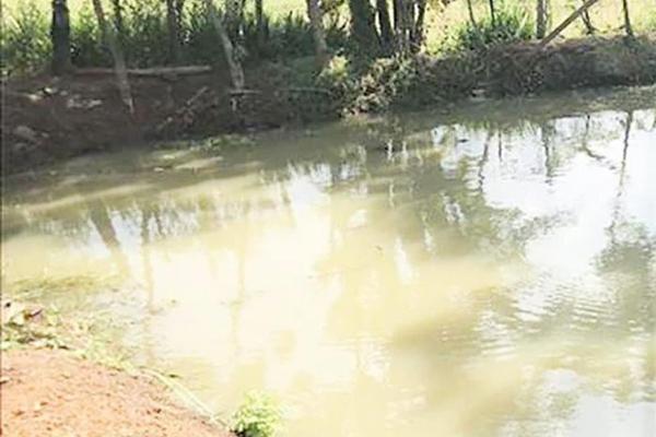 3 children drowned in the neighbor’s pond