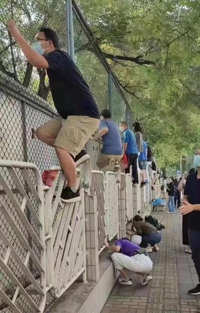 Tài rình mò điêu luyện hơn paparazzi của bố mẹ có con nhỏ đi học-1