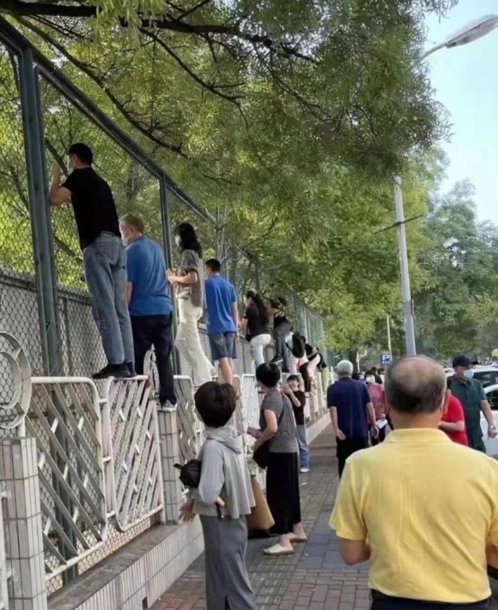 Tài rình mò điêu luyện hơn paparazzi của bố mẹ có con nhỏ đi học-3