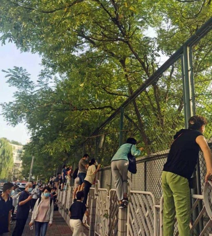 Tài rình mò điêu luyện hơn paparazzi của bố mẹ có con nhỏ đi học-5