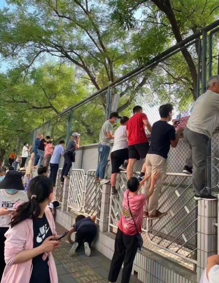 Tài rình mò điêu luyện hơn paparazzi của bố mẹ có con nhỏ đi học-7