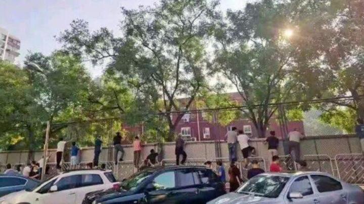 Tài rình mò điêu luyện hơn paparazzi của bố mẹ có con nhỏ đi học-8