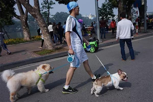 Hà Nội cấm mang chó mèo, loa công suất lớn vào phố đi bộ hồ Gươm-1