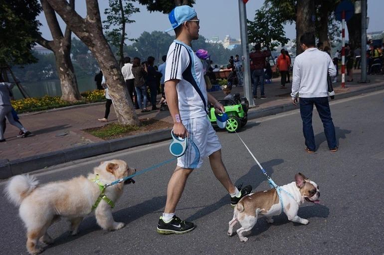 Deliberately taking a pet, bringing a speaker to the pedestrian street of Hoan Kiem Lake, how is it handled?-1