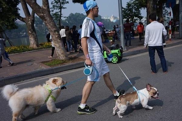 Deliberately taking a pet, bringing a speaker to the pedestrian street of Hoan Kiem Lake, how is it handled?