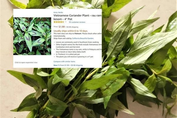 Loại gia vị ăn cho sướng miệng hóa ra nhiều công dụng tốt ít ai biết-5