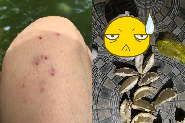 Món canh sầu kỳ lạ: Người chê đau bụng, kẻ khen ngon lắm-4