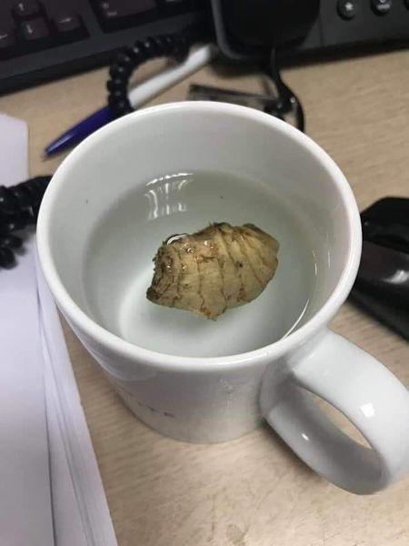 Nhìn vợ buồn tay pha cốc chanh gừng, chồng xin thề bỏ nhậu nhẹt-2