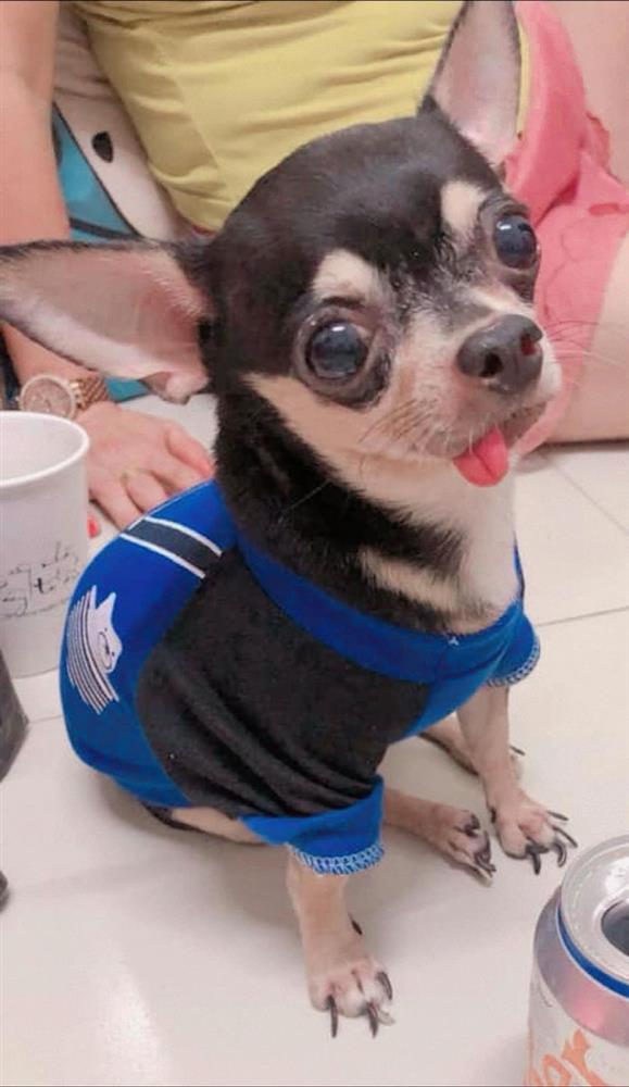 Vừa đám cưới, vợ Mạc Văn Khoa xót xa báo gia đình có mất mát lớn-2