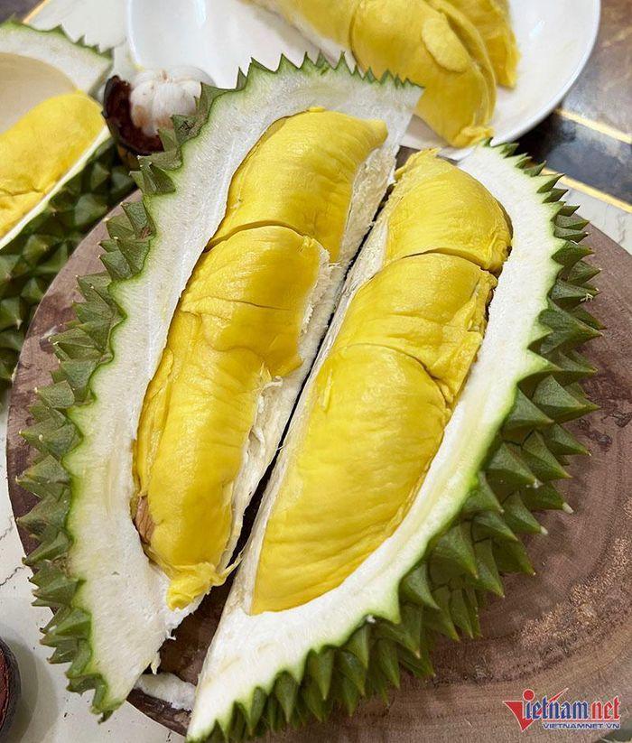 Khu vườn sầu riêng Musang King chờ chín rụng bán 3 triệu/quả-1