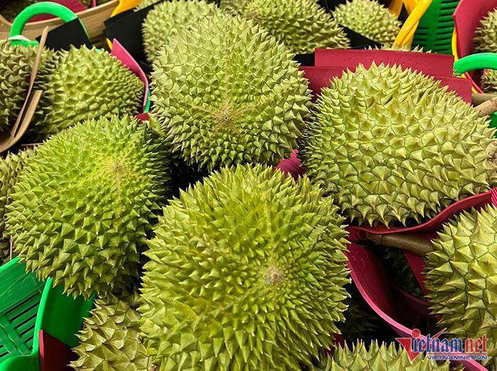 Khu vườn sầu riêng Musang King chờ chín rụng bán 3 triệu/quả-10