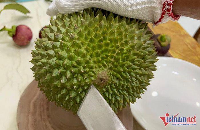 Khu vườn sầu riêng Musang King chờ chín rụng bán 3 triệu/quả-7