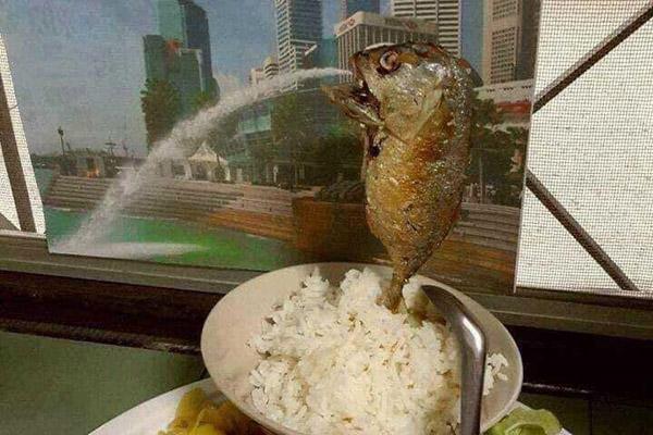 Những lần cá khủng sa lưới ngư dân Việt khiến dư luận ngỡ ngàng-12