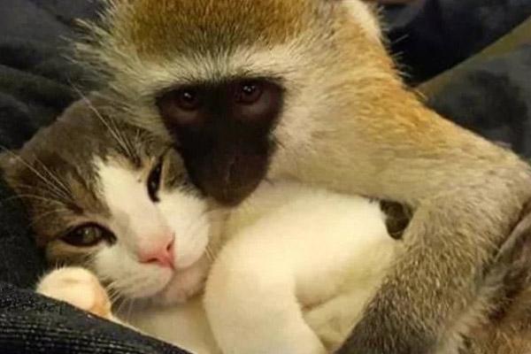 4 con giáp trúng số độc đắc, ôm khối tài sản khủng trong năm 2023-3